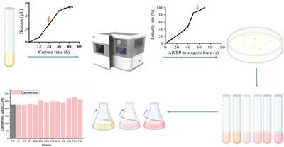 Whole Genome Sequencing and RNA-seq-Driven Discovery of New Targets That Affect Carotenoid Synthesis in Phaffia rhodozyma